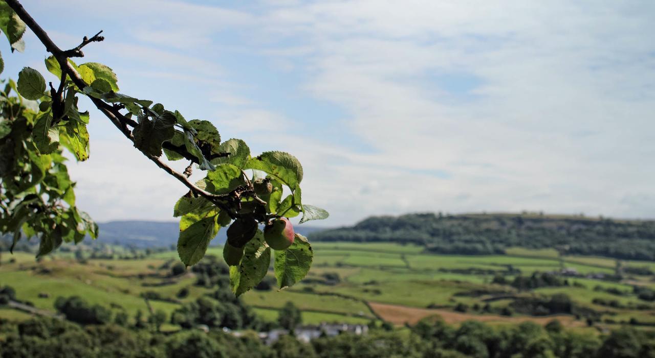 Mason'S Arms Hotell Bowland Bridge Exteriör bild